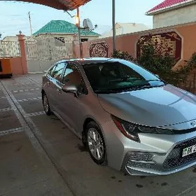 Toyota Corolla 2020