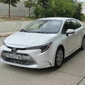Toyota Corolla 2021