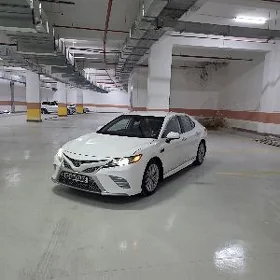 Toyota Camry 2019
