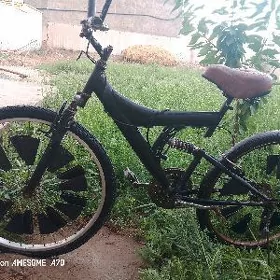 Amasatr velik