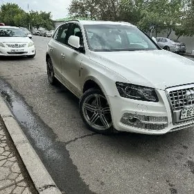 Audi Q5 2010