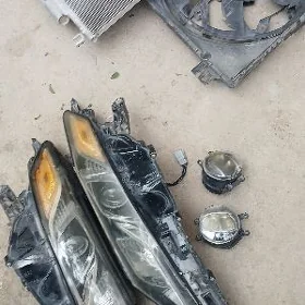 2021 kemirin zapcaslary