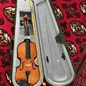 skripka,скрипка