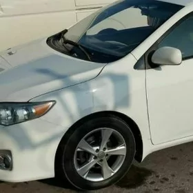 Toyota Corolla 2010