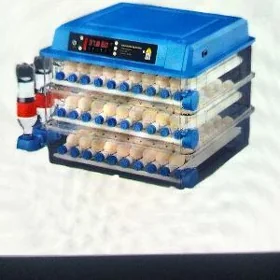 inkubator 300 yumurtgalyk
