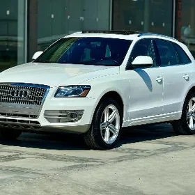 Audi Q5 2010
