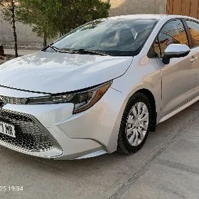 Toyota Corolla 2022