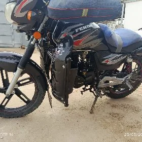 Fekon FK150-8G 2016