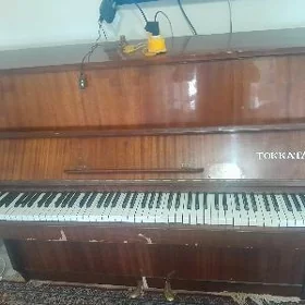 pianino "TOKKATA"