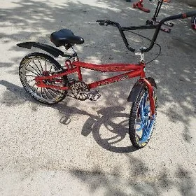  tigir duga 