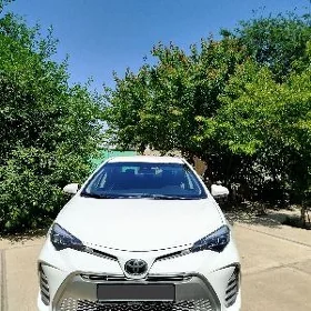 Toyota Corolla 2017