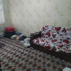 квартира