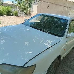 Toyota Windom 1991