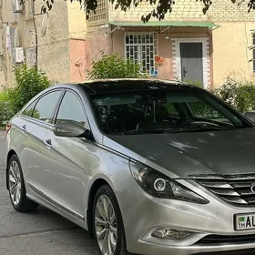 Hyundai Sonata 2010