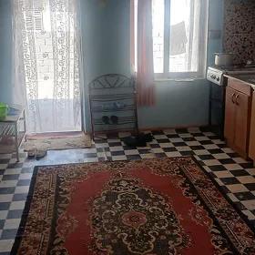 Сдаю дом в кули маяке