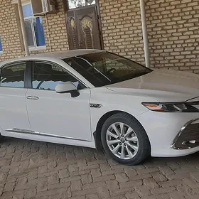 Toyota Camry 2020