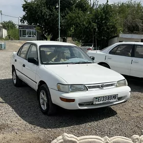 Toyota Corolla 1995