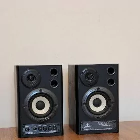 Kalonka Monitor behringer