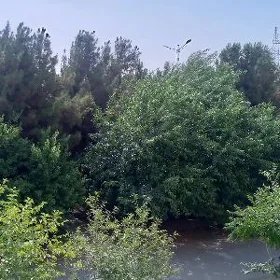 Квартира