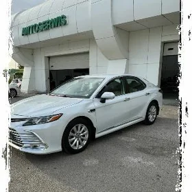 Toyota Camry 2020