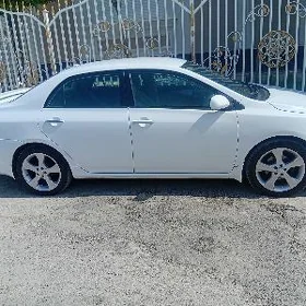 Toyota Corolla 2011