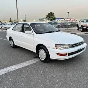 corona 1.8 karopka morda