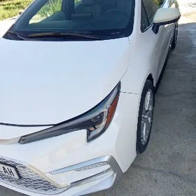 Toyota Corolla 2024
