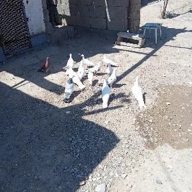 kepderi