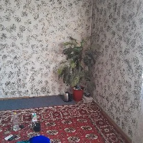 квартира берян