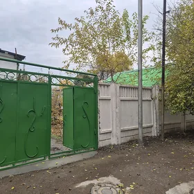 TALYP GYZLAR ÜÇIN
