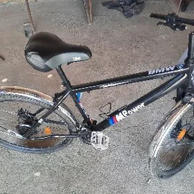 26 lyk tigir