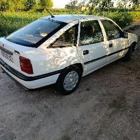 Opel Vectra 1991