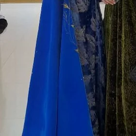 gaşly setka
