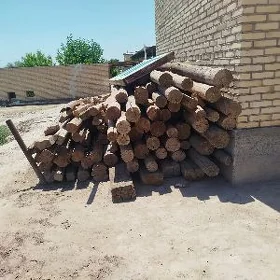 Kyzyl agac