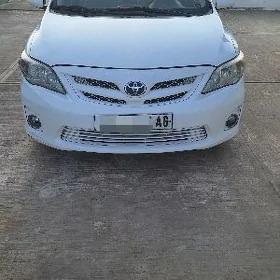 Toyota Corolla 2011