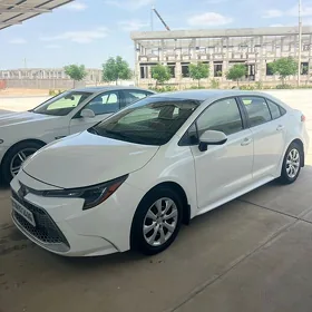 Toyota Corolla 2020