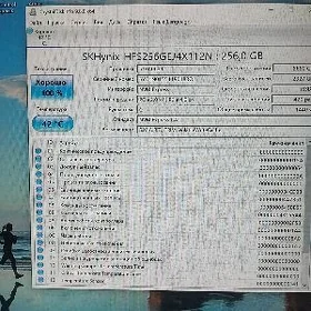 SK Hynix nvme ssd 256gb