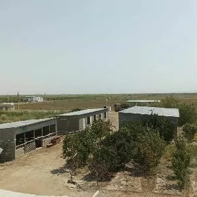 Arçman 55 gektar hususy ÿer
