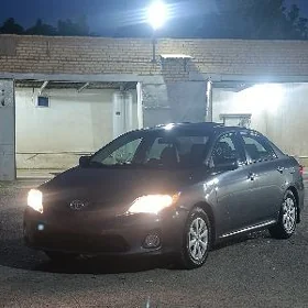 Toyota Corolla 2011