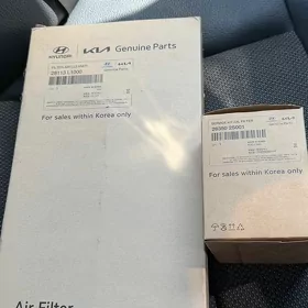 hyundai flitr