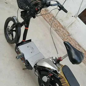 tokly tıgır