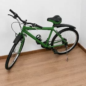 turkmenistan  tigir