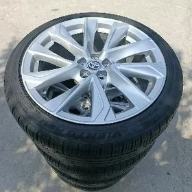 karolla disge 18