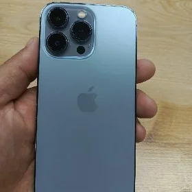 13 pro