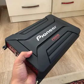 pioner