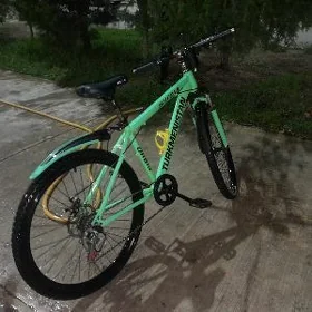 tigir turkmenistan