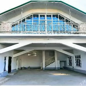 arenda cogonly