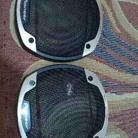 kalonko gapak