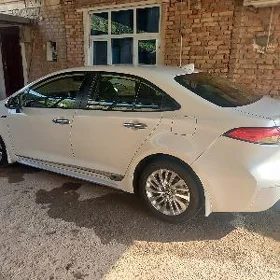 Toyota Corolla 2020