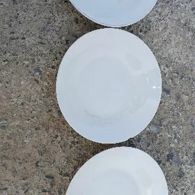 pasuda